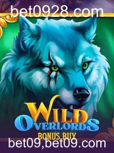 Explorando o Mundo de WildOverlordsBonusBuy